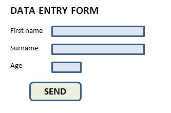 data entry form